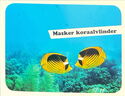 Butterflyfish- Sticker no. 8
