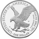 1 Dollar (American Eagle - 250th Anniversary United States - Star privy)