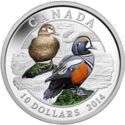 10 Dollars (Harlequin duck)