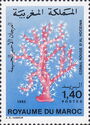 Red Coral (Corallium rubrum) 