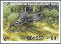 California quail (Callipepla californica)