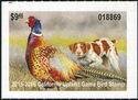 Pheasant and dog