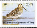 Wilson's snipe (Gallinago delicata)