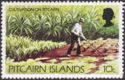 Cultivation on Pitcairn