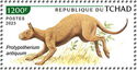 Protypotherium antiquum