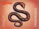 Year of the Snake 2025