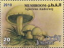 Agaricus anderwij