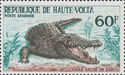 Nile Crocodile (Crocodylus niloticus)