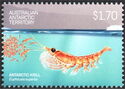 Antarctic Krill (Euphausia superba)