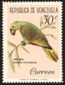 Yellow-crowned Parrot (Amazona ochrocephala)