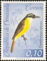 Great Kiskadee (Pitangus sulphuratus)