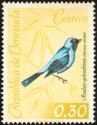 Swallow Tanager (Tersina viridis)