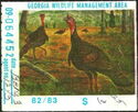 Wild turkey (Meleagris gallopavo)