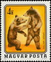 Brown Bear (Ursus arctos)