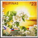 Sampaguita (Jasminum sambac)