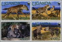 Spotted Hyena (Crocuta crocuta)