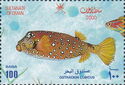 Yellow Boxfish (Ostracion cubicus)