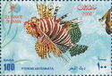 Ragged-finned Firefish (Pterois antennata)