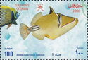 Picasso Triggerfish (Rhinecanthus assasi)