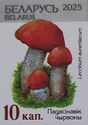 Red-capped scaber stalk (Leccinum aurantiacom)