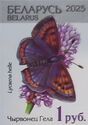 Violet copper (Lycaena helle)