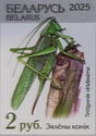 Great green bush-cricket (Tettigonia viridissima)