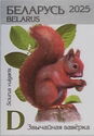 Red squirrel (Sciurus vulgaris)