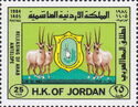 Arabian Oryx (Oryx leucoryx)