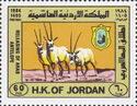 Arabian Oryx (Oryx leucoryx)