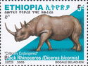 Black Rhinoceros (Diceros bicornis)