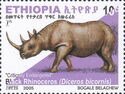 Black Rhinoceros (Diceros bicornis)