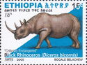 Black Rhinoceros (Diceros bicornis)