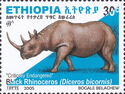 Black Rhinoceros (Diceros bicornis)