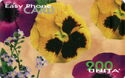 EasyPhoneCard - Pansies