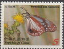 Chestnut Tiger (Parantica sita niphonica) 