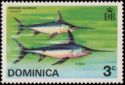 Swordfish (Xiphias gladius)