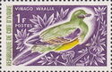 Bruce's Green-Pigeon (Vinago waalia)