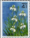Fringed Orchids (Pecteilis radiata) - Left side imperforate