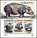 Hippopotamus