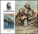 Hippopotamus (Hippopotamus amphibius)