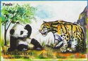 Giant Panda and Clouded Leopard