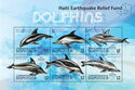 Dolphins - Haiti Earthquake Relief Fund