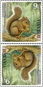 Brazilian Squirrel (Sciurus [Guerlinguetus] aestuans)