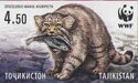 Pallas's Cat (Otocolobus manul nigripecta), with Fish