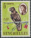 Seychelles Black Parrot (Coracopsis barklyi)