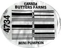 Butters Farms #4734 Mini Pumpkin