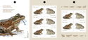 Endangered Frogs of Canada