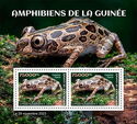 Amphibians of Guinea