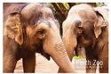 Perth. Perth Zoo, Elephants