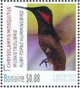 Ruby-topaz Hummingbird (Chrysolampis mosquitus)